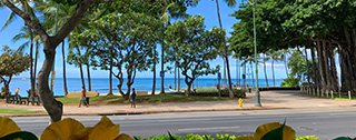 ハワイ在住モデルとワイキキトロリーで巡るもっとハワイが好きになるオンラインツアー
