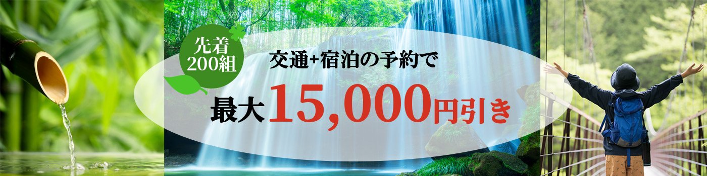 国内ダイナミックパッケージ