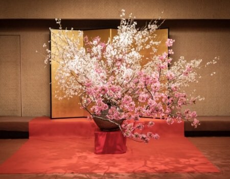 体験画像