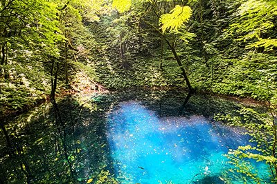 トラベルコンサルタント写真