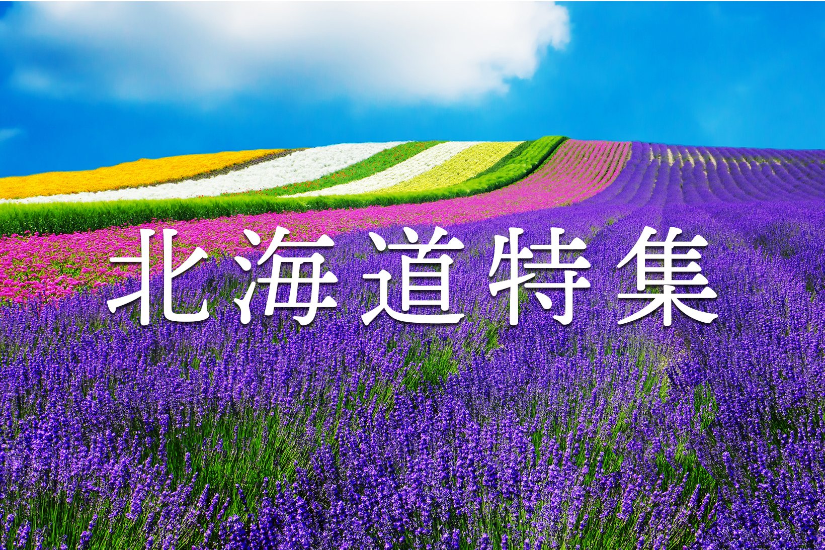 北海道特集