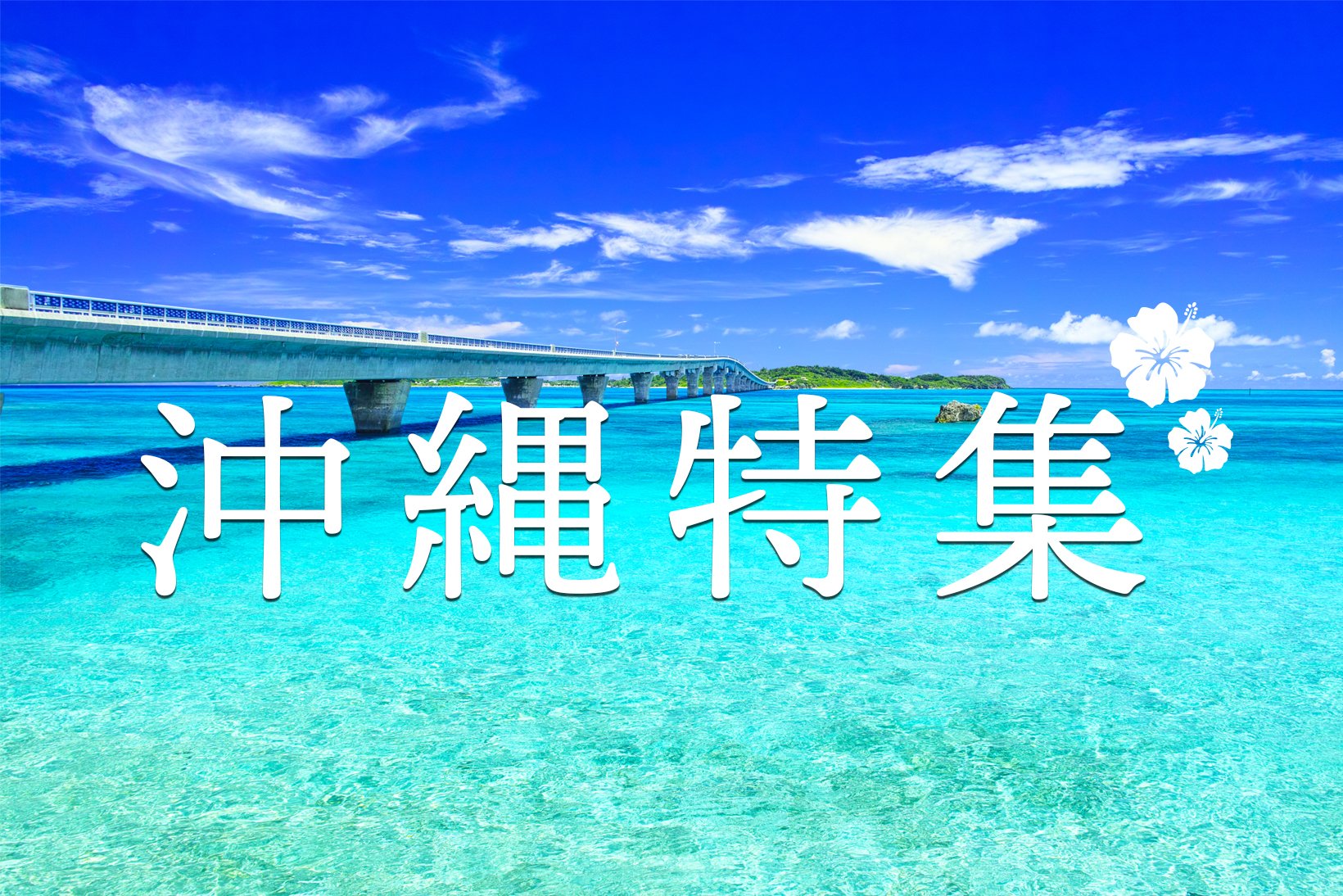 沖縄特集