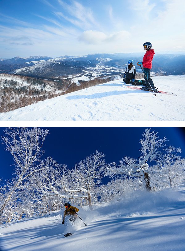 JTBスノーパラダイス 北海道・東北 ボード＆スキー