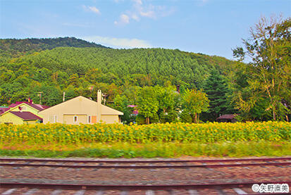 sec1_img1_1602.jpg