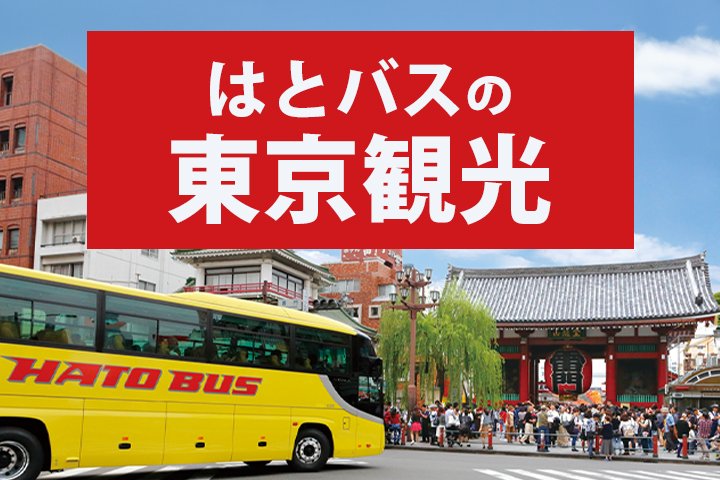 はとバスの東京観光